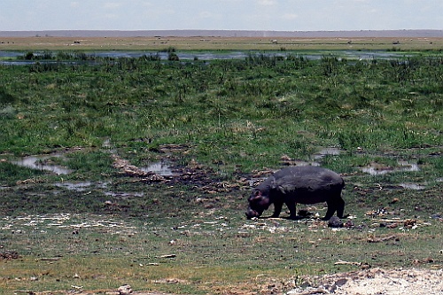 Kenia (212)